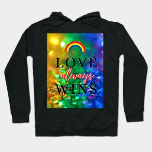 Love Always Wins Hoodie